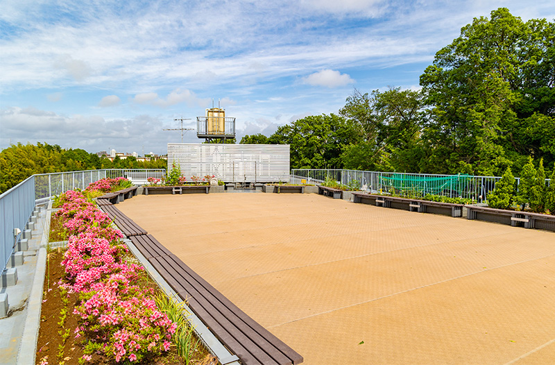 屋上庭園